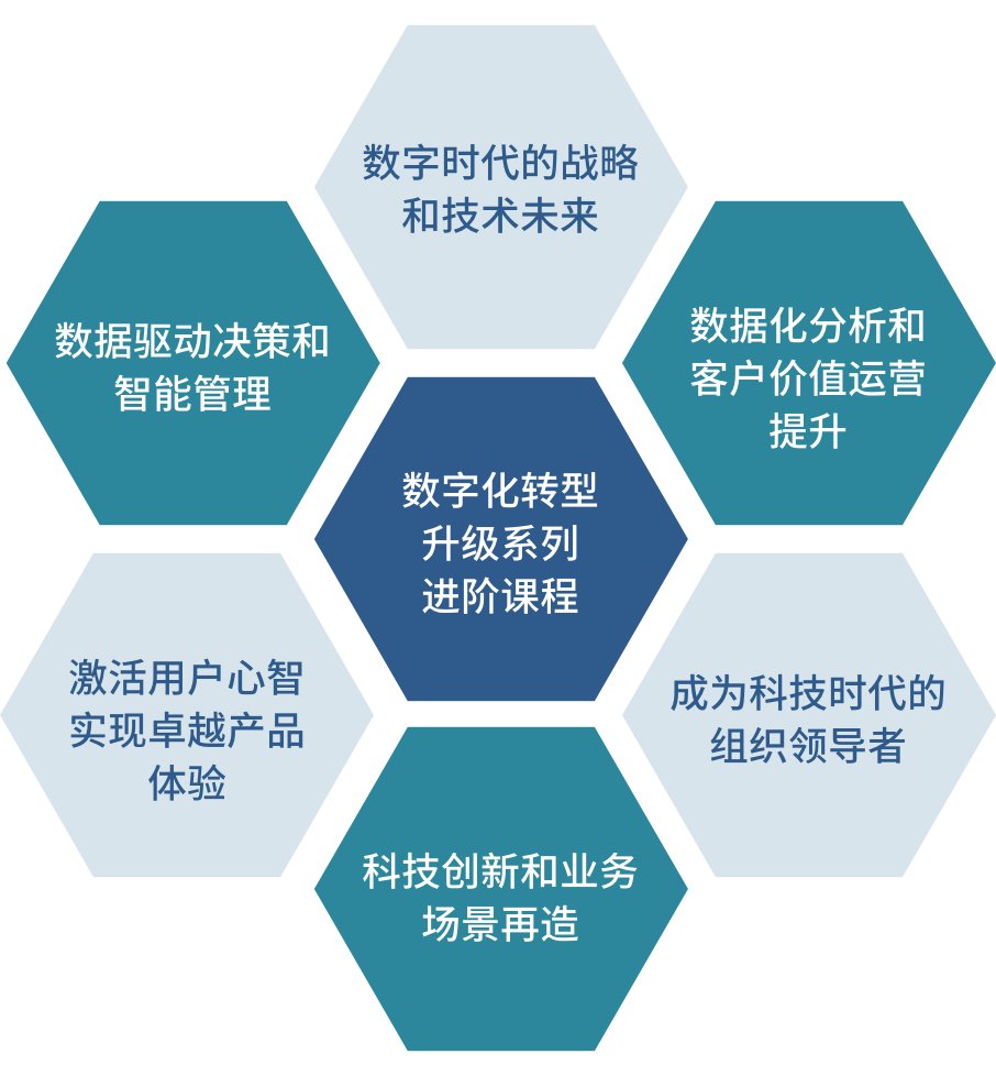 实践导向