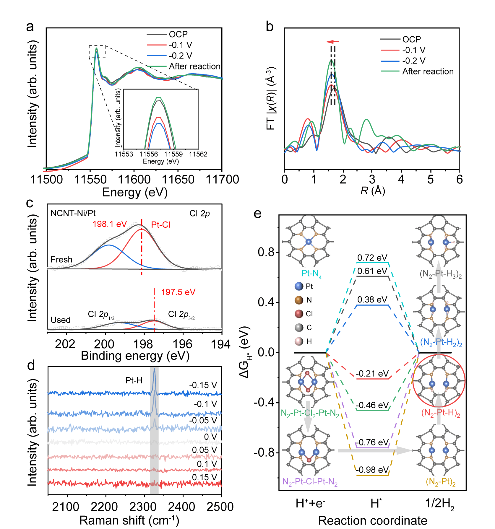 电话: 021-54741065