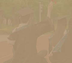 学科建设 / 访问教授 / 党建 /